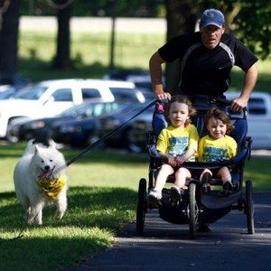 Meet your Posher, Timothy